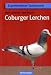 Coburger Lerchen bei B&uuml;cher zum Namen: 41GE6J90LPL._SL75_