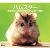 ハムスター 見てかわいい知って楽しいハムスター百科