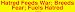 Hatred Feeds War; Breeds Fear; Fuels Hatred Large Bumper Sticker
