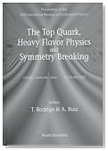 The Top Quark, Heavy Flavor Physics and Symmetry Breaking: Comillas, Santander, Spain 22-25 May 1995