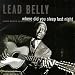 HEAVY LEAD: HUDDIE LEDBETTER, AMERICA's ORIGINAL FOLK SINGER