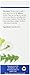 Alvita Tea Bags, Dandelion Root (Roasted), Caffeine Free, 24 Tea Bags, Net Weight. 1.69 Ounce