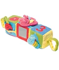 Bugs Buggy Travel Blocks