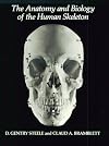 The Anatomy and Biology of the Human Skeleton