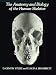 The Anatomy and Biology of the Human Skeleton