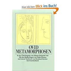 Metamorphosen (insel taschenbuch)
