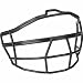 Rawlings RWG Faceguard Color: Black