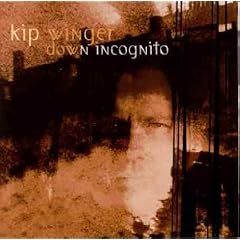 Down Incognito