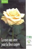 La rose sous serre pour la fleur coup�e