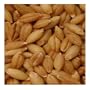 El Guapo Whole Barley - Mexican Spice, 2 Oz (Pack of 12)