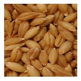 El Guapo Whole Barley - Mexican Spice, 2 Oz (Pack of 12)