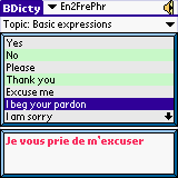 Talking English-French Dictionary Phrasebook downloadable Software