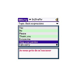 Talking English-French Dictionary Phrasebook