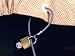 Covercraft ZCBL Deluxe Cable Lock Kit