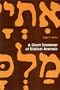 A Short Grammar of Biblical Aramaic (Andrews University Monographs)