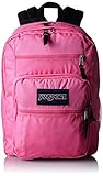 UPC 637439900153 product image for JanSport Big Student Backpack, Fluorescent Pink | upcitemdb.com