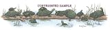 Turtles - Drawing by Cindy Farmer