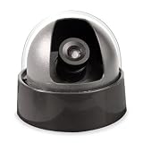 SVAT CVD100 Black & White Indoor Dome Camera