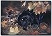 rottweiler17 - ROTTWEILER DOORMAT Art by Pollyanna Pickering