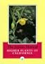 The Jepson Manual: Higher Plants of California
