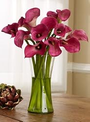 Long-Stemmed Pink Calla Lilies - 15 Stems