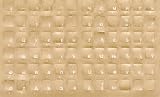 Russian, Cyrillic Keyboard Overlays Stickers, Labels. White Characters, Reverse Print, Transparent for Dark Color Keyboards