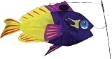 Swimming Basslet Fish Outdoor Lawn Decoration