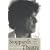 Stoppard's Theatre: Finding Order amid Chaos (Literary Modernism Series)