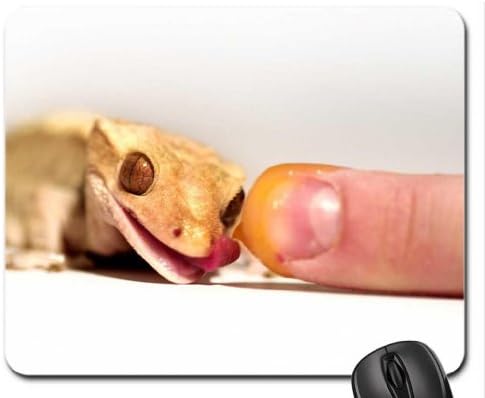 gecko lizard Mouse Pad, Mousepad (Reptiles Mouse Pad)