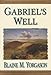 Book Gabriel's Well