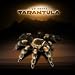 Tarantula By Yigal Mesika (Includes Instructional DVD) - This Stealth Utility Allows You to Easily Master Levitation and Animation for Any Situation