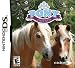 Pony Friends NDS