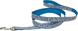 Lazer Brite Reflective Dog Leash, 6-Foot, Turquoise with Bones