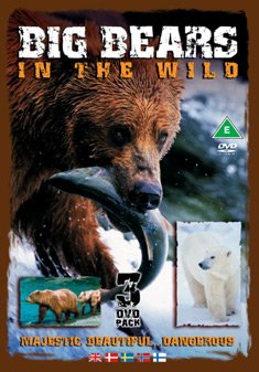 BIG BEARS SET