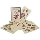Cavallini Carte Postale Natural Wonders Nature, set of 18 cards in tin (9 different designs),Single