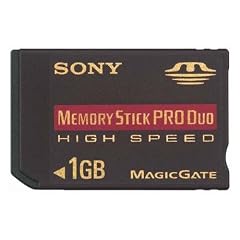 Sony MSX-M1GN Memory Stick 1024MB Pro Highspeed Duo (1GB) Speicherkarte (original Handelsverpackung)