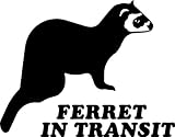 Ferret in Transit Bumper Car Van Window Stickers SBFE1