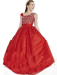 Girls Organza  Floor Length Lace  Ball Gown Flower-Girl Dress/Pageant Dress 