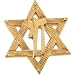 PRE-HOLIDAY SALE!!! 10% OFF 14K Yellow Gold Star of David Lapel Pin with Chai - 23.25x20.25mm
