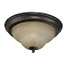 Jeremiah - 2 Light Flush Mount Ceiling Lighting Fixture - Augustine Bronze - Honey Glass - B5192