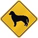 ONLY  BERNESE MOUNTAIN DOGS  CROSSING SIGN DOG