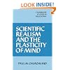 Scientific Realism and the Plasticity of Mind (Cambridge Studies in Philosophy)
