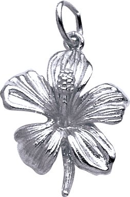 Hibiscus Charm by Rembrandt Charms