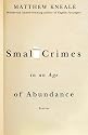 Small Crimes in an Age of Abundance