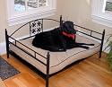 18x30 Rosette Bed Frame
