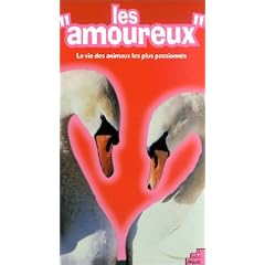 Les "amoureux"