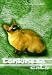   - Tonkinese Cats