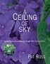A Ceiling of Sky: Special Garden Rooms and the People Who Created Them