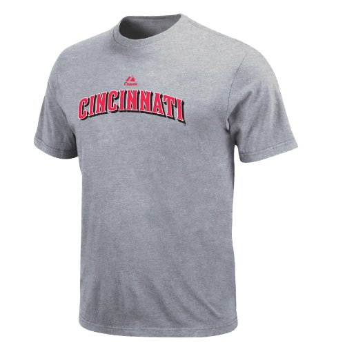 MLB Jay Bruce Cincinnati Reds Youth Short Sleeve Basic Tee (Steel Heather, X-Large)