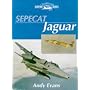 Sepecat Jaguar (Crowood Aviation)
